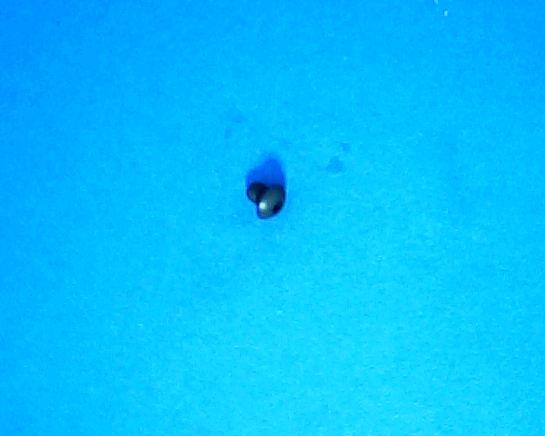 SCR, M5X0.8X6 BHSCS, ISO 7380