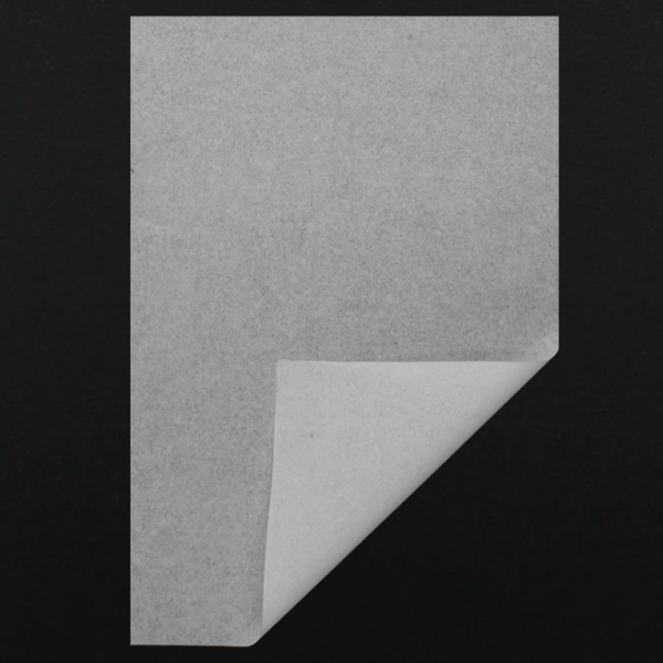 PAP2/SPRT/BLANC/162CM
