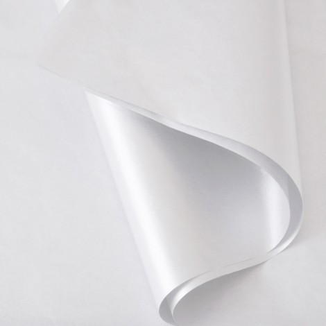 PAP6/VELINA/60X20